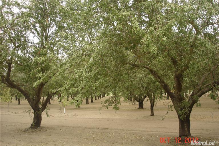23707 Kincaid Rd, Manteca, CA 95337 photo 2