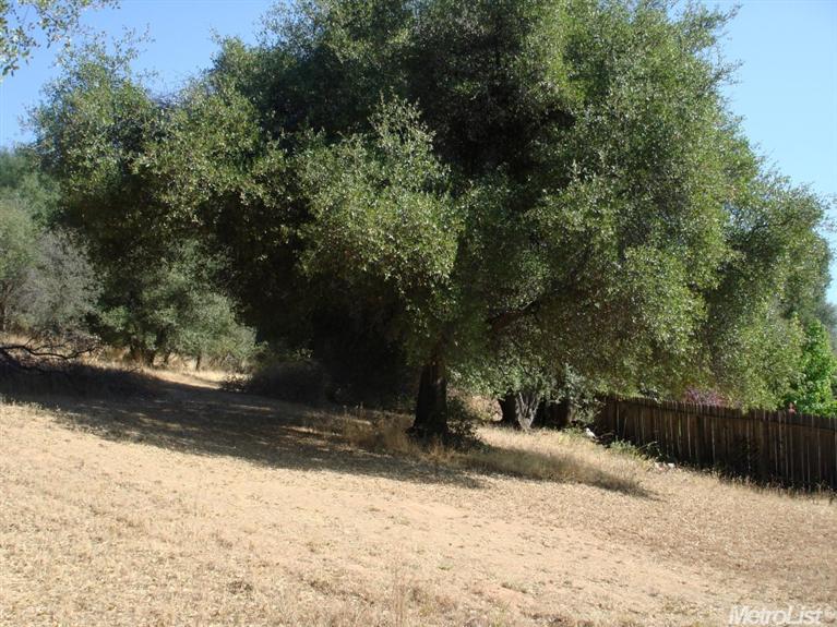 2421 Empress Ln, Placerville, CA 95667 photo 4