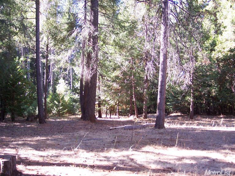 2041 Tipton Hill Rd, Georgetown, CA 95634 photo 5