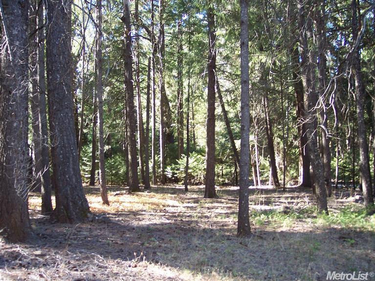 2041 Tipton Hill Rd, Georgetown, CA 95634 photo 7