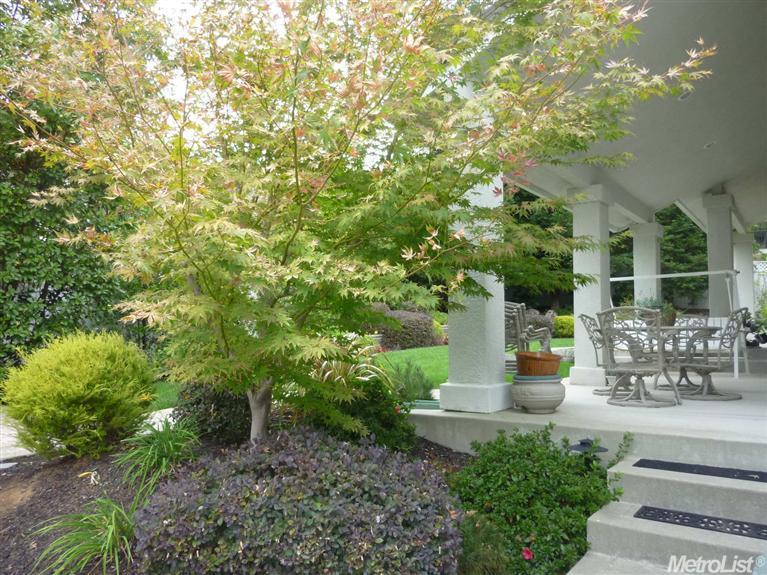 4542 Mountaingate Dr, Rocklin, CA 95765 photo 12