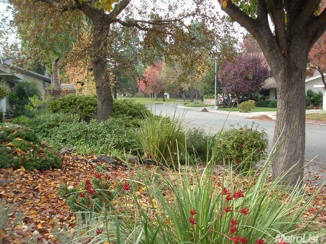 228 El Cajon Ave, Davis, CA 95616 photo 2