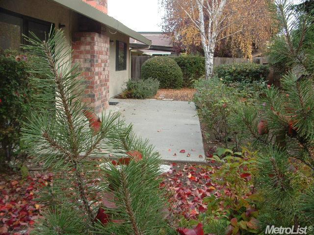 228 El Cajon Ave, Davis, CA 95616 photo 17