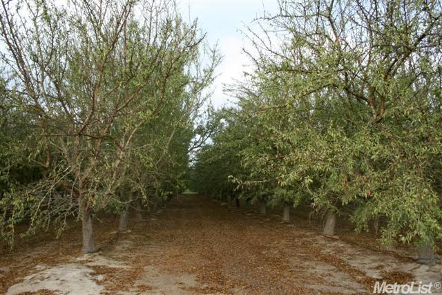 5201 Laird Rd, Modesto, CA 95358 photo 10