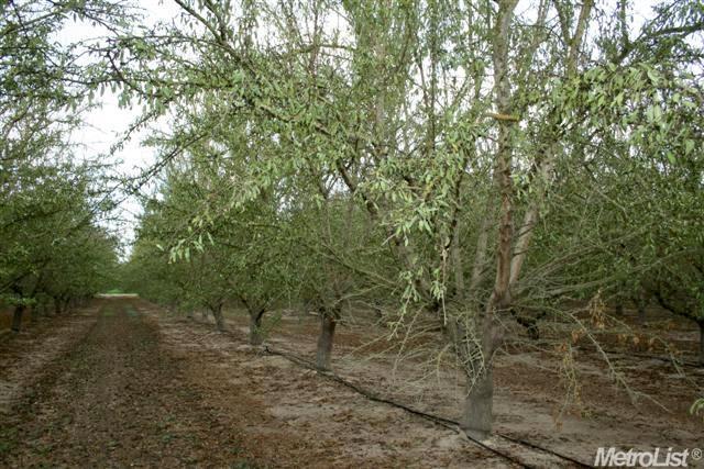 5201 Laird Rd, Modesto, CA 95358 photo 8