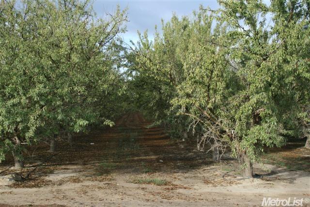 5201 Laird Rd, Modesto, CA 95358 photo 14