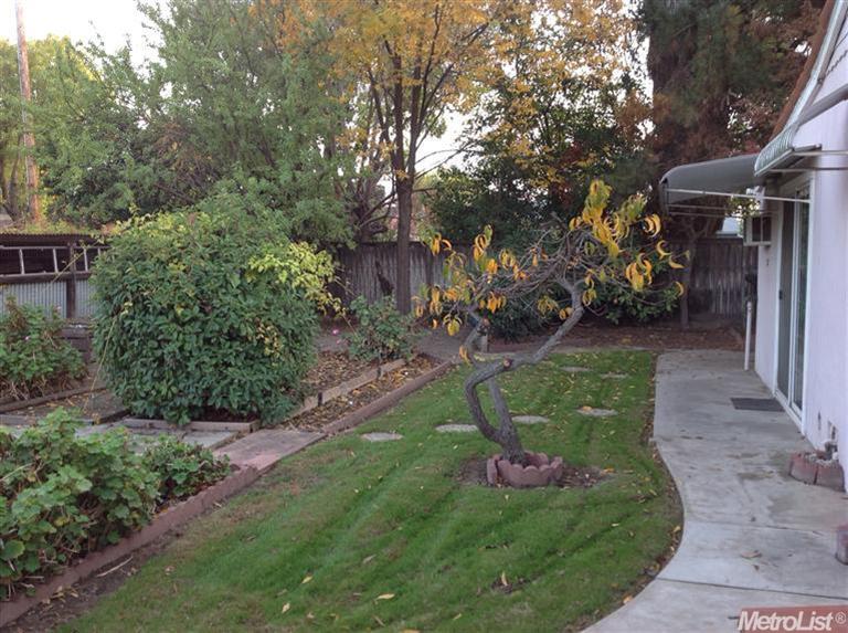 2203 Miller Ave, Modesto, CA 95354 photo 12