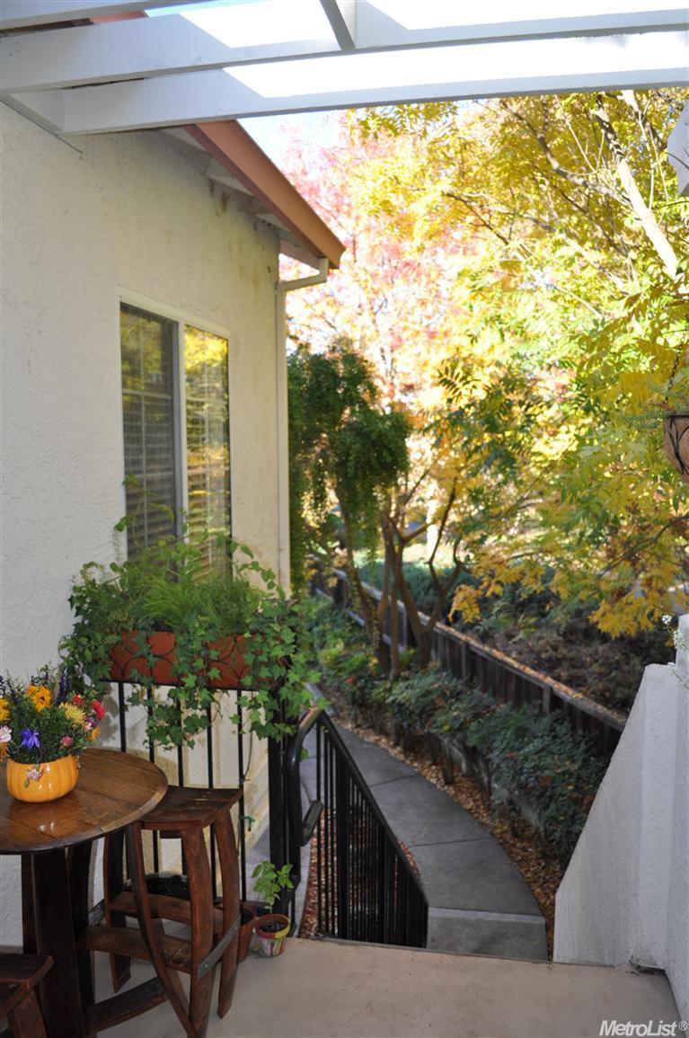 1123 Greene Ter, Davis, CA 95618 photo 5