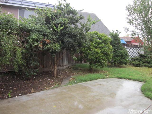 1620 Daisy Tree, Ceres, CA 95307 photo 20