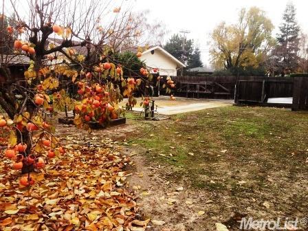 421 E Minnesota Ave, Turlock, CA 95382 photo 22