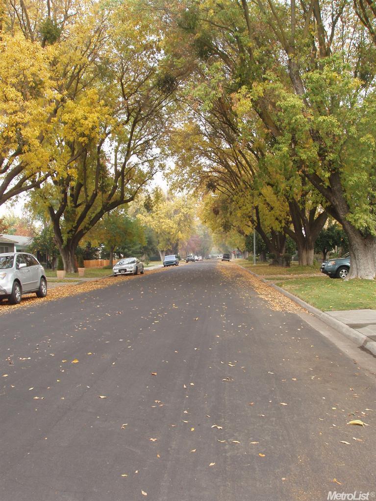 1506 Stetson Ave, Modesto, CA 95350 photo 18