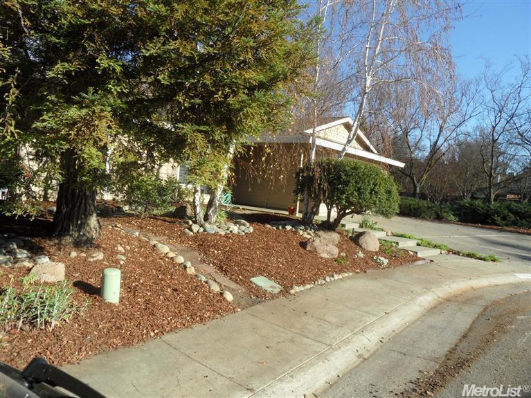 1203 Impala Pl, Davis, CA 95616 photo 18