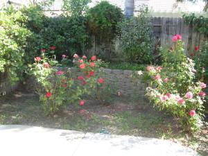 2432 Colby Ct, Tracy, CA 95377 photo 12