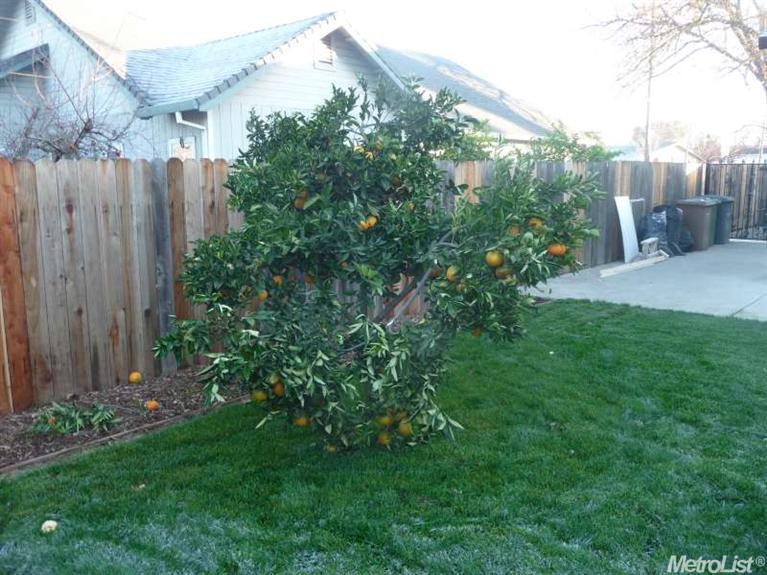 110 6th St, Galt, CA 95632 photo 17