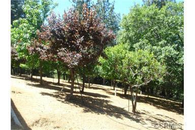 1596 Skull Flat Rd, West Point, CA 95255 photo 12