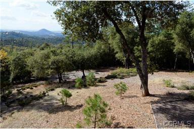 11511 Tabeaud Rd, Pine Grove, CA 95665 photo 20