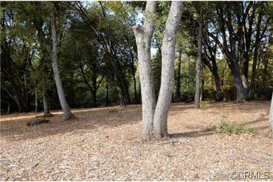 11511 Tabeaud Rd, Pine Grove, CA 95665 photo 2