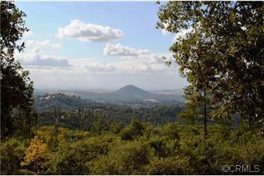 11511 Tabeaud Rd, Pine Grove, CA 95665 photo 13