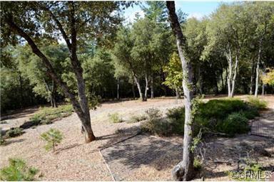 11511 Tabeaud Rd, Pine Grove, CA 95665 photo 19