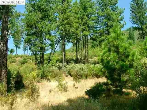 Undisclosed, Dobbins, CA 95935 photo 13
