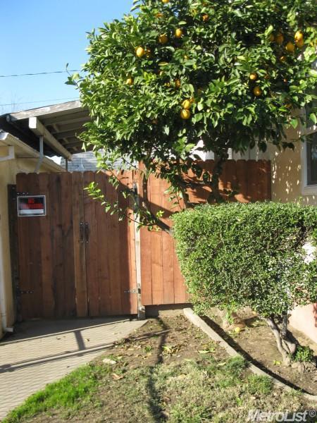244 E Tokay St, Lodi, CA 95240 photo 21
