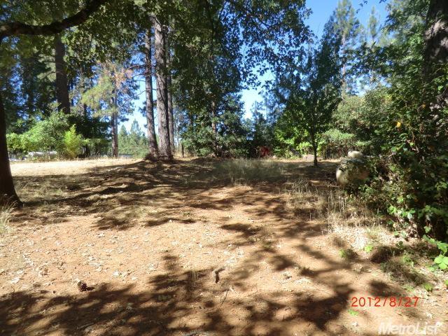 24911 Ben Taylor Rd, Colfax, CA 95713 photo 7