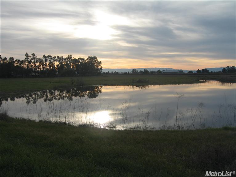 35717 Lasiandra Ln, Davis, CA 95616 photo 8