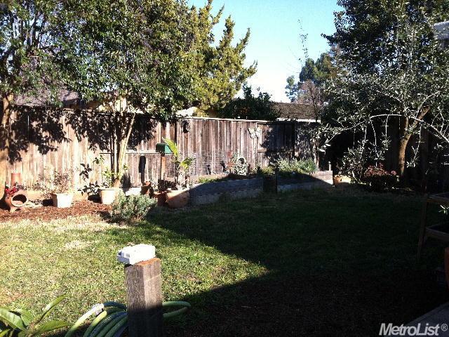 431 Del Oro Ave, Davis, CA 95616 photo 6