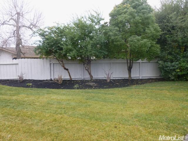 433 Clowe Ct, Lodi, CA 95242 photo 8