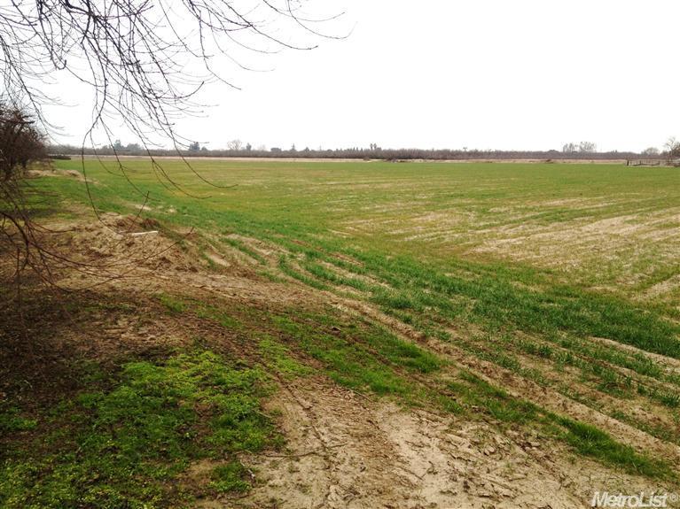 21155 Henry Rd, Escalon, CA 95320 photo 4