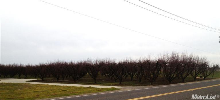 21155 Henry Rd, Escalon, CA 95320 photo 5