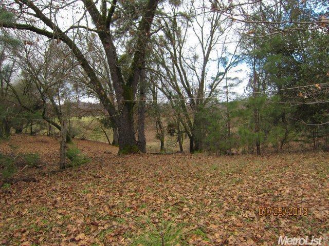 4538 Washboard Ln, Placerville, CA 95667 photo 19