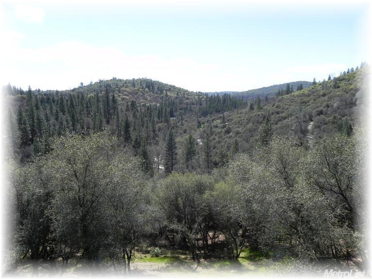 17570 Winding Oaks Rd, Grass Valley, CA 95949 photo 11