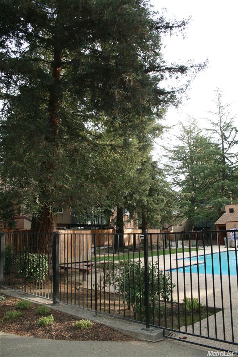 421 Alvarado Ave, Davis, CA 95616 photo 19