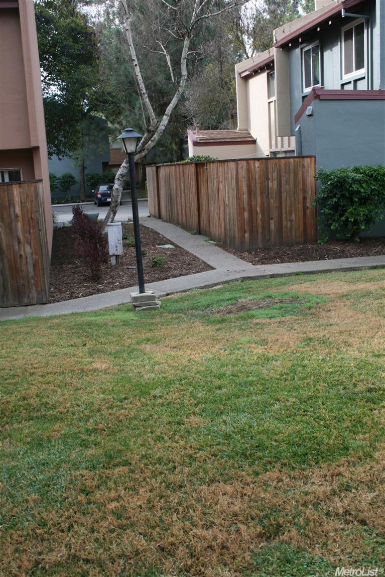 421 Alvarado Ave, Davis, CA 95616 photo 12