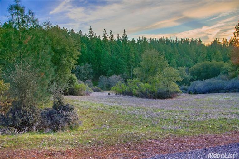 2780 Wild West Trl, Cool, CA 95614 photo 20