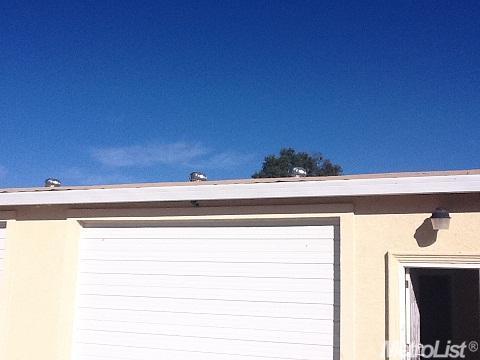 13531 N Steiner Rd, Galt, CA 95632 photo 25