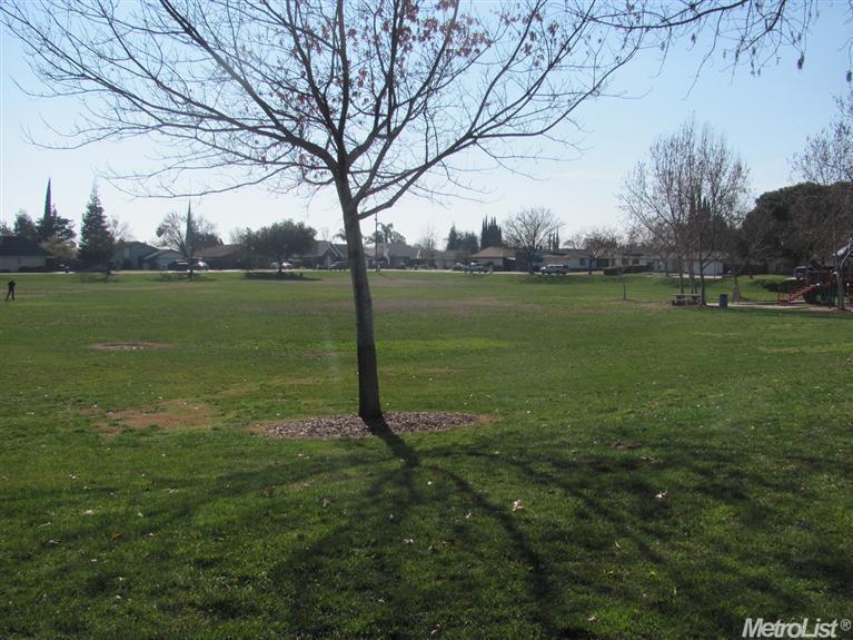 2417 Lavon Ln, Ceres, CA 95307 photo 24