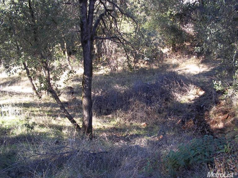 15970 Hidden Valley Rd, Sonora, CA 95370 photo 7