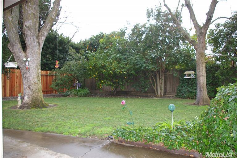 1609 Orange Ln, Davis, CA 95616 photo 8