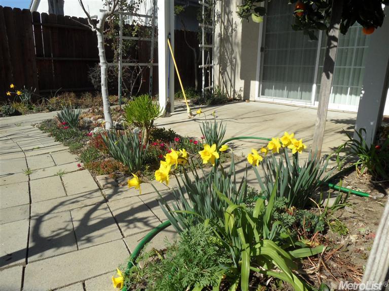 3418 Mono Pl, Davis, CA 95618 photo 17