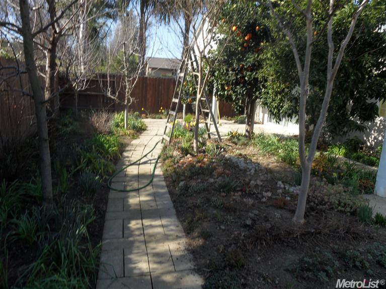 3418 Mono Pl, Davis, CA 95618 photo 16