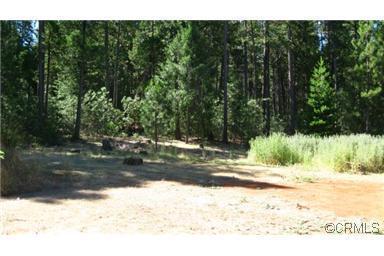 23854 Shake Ridge Rd, Volcano, CA 95689 photo 12