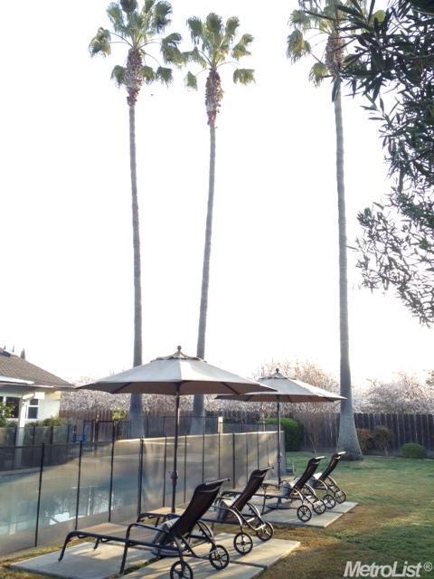 17108 Colony Rd, Ripon, CA 95366 photo 18
