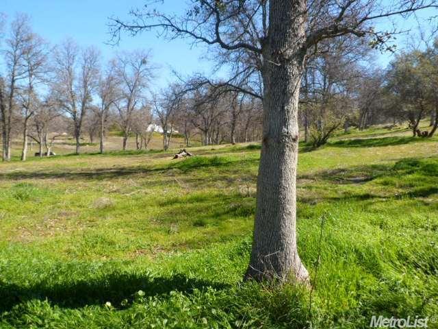 37415 Eagle Dr, Raymond, CA 93653 photo 5