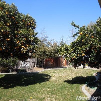 1243 Lauralee Ct, Modesto, CA 95350 photo 1