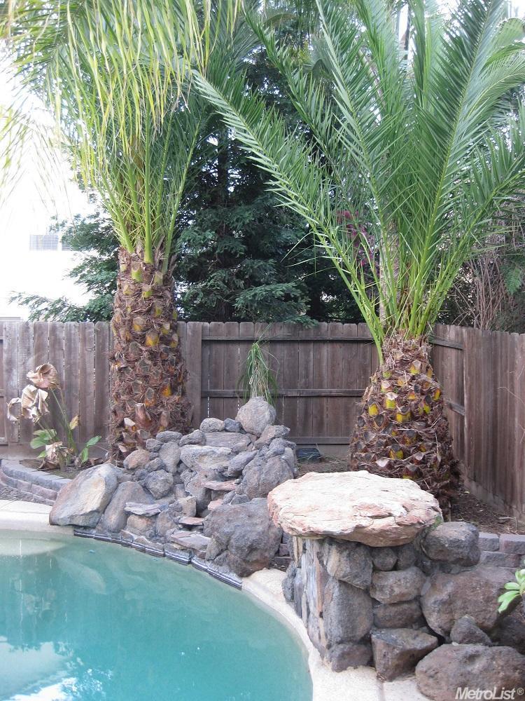 1813 St Mayeul Dr, Modesto, CA 95356 photo 23