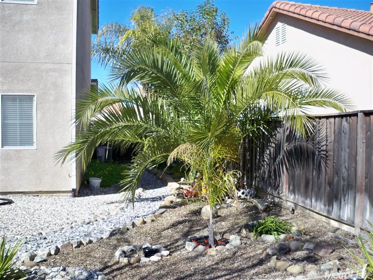 16725 Freeman St, Esparto, CA 95627 photo 12