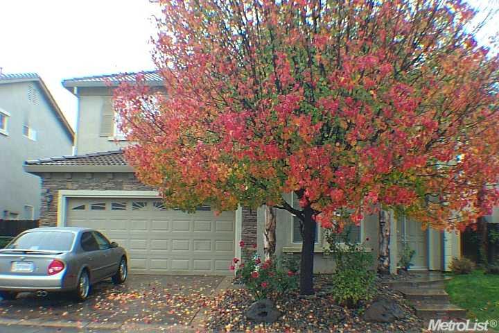 3837 Banyan Tree Dr, Modesto, CA 95355 photo 1