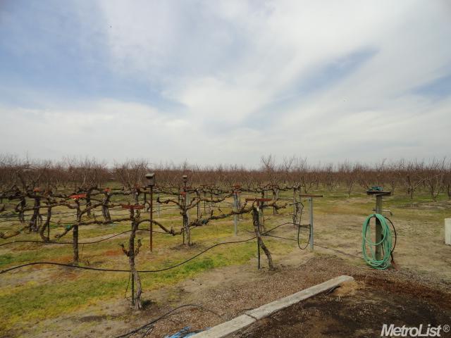 16093 Eugenia Ave, Ripon, CA 95366 photo 8